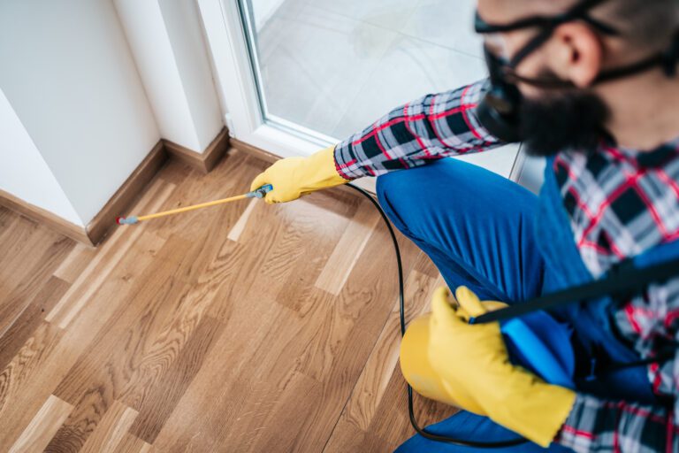 seo pest control companies