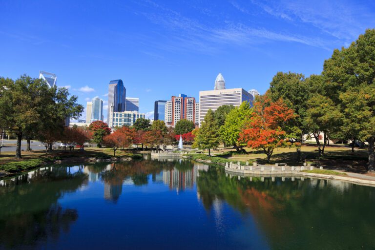 digital marketing tips for your charlotte business